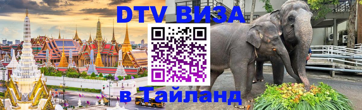 Сколько стоит DTV виза — актуальные цены, оформление даже без документов - Салават 